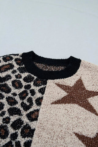 Leopard Star Pattern Round Neck Long Sleeve Shift Sweater - A Roese Boutique